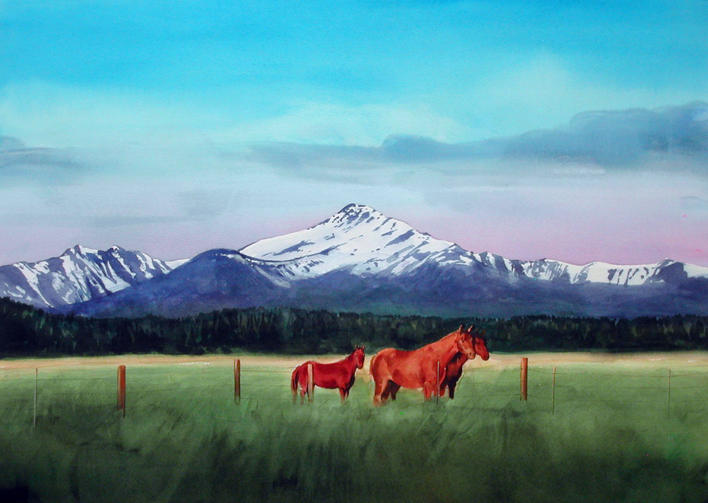 Carol Newsom Painting Gallery