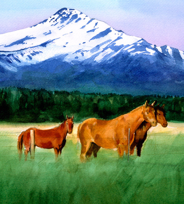 Carol Newsom Pet Portraits