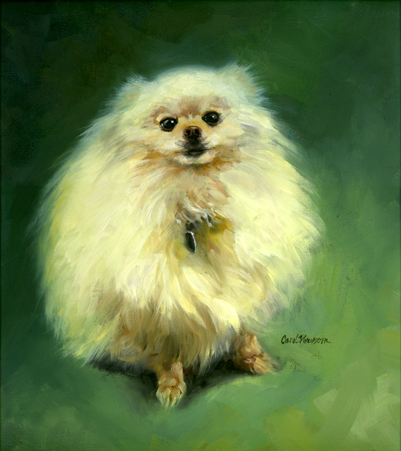 Carol Newsom Pet Portraits