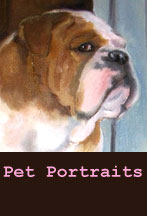 pet portraits